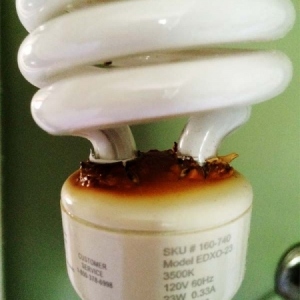 22-florescent-light-bulb-installed-upside-down
