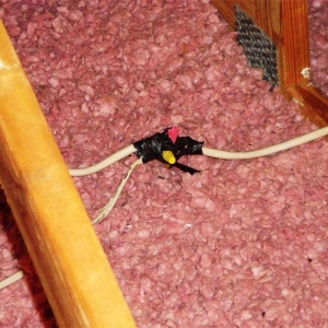 23-flying-splice