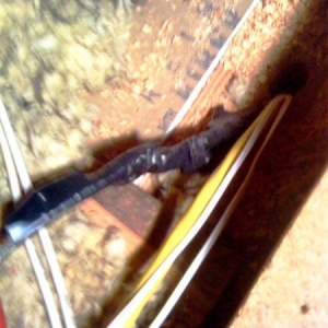 25-flying-splice