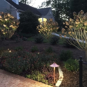 08-landscape-path-and-up-lighting
