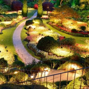 Landscaping Lighting
